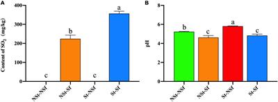 Evaluate how steaming and sulfur fumigation change the microstructure, physicochemical properties and in vitro digestibility of Gastrodia elata Bl. starch